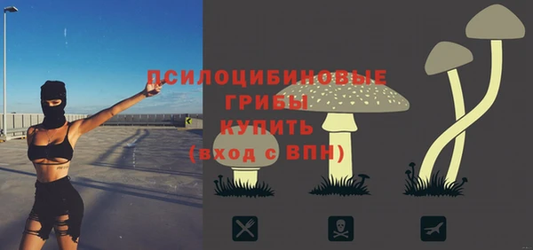 кокс Богородицк