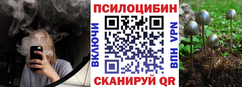 Псилоцибиновые грибы GOLDEN TEACHER  Дивногорск 